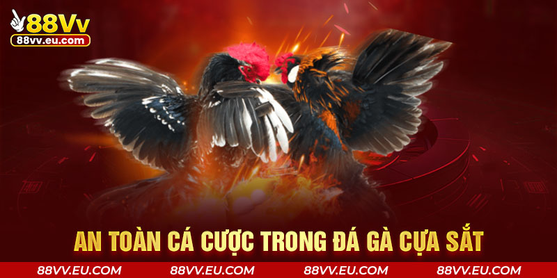 An toàn cá cược trong đá gà cựa sắt