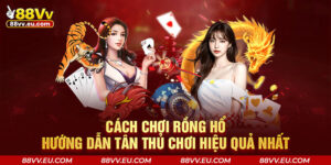 Cách chơi Rồng Hổ - Hướng Dẫn Tân Thủ Chơi Hiệu Quả Nhất