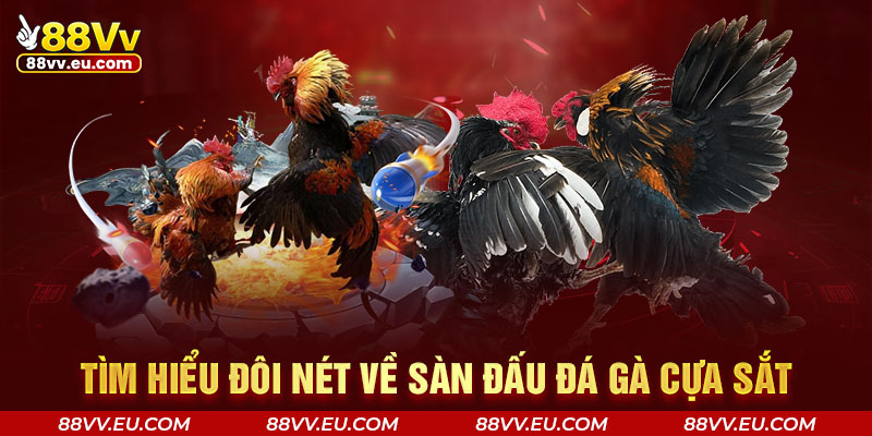 Tìm hiểu đôi nét về sàn đấu đá gà cựa sắt