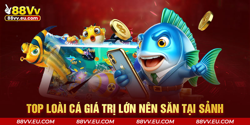 Top loài cá giá trị lớn nên săn tại sảnh